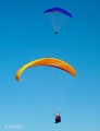 2008090704.jpg