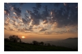 Filename=Pola_Siero.jpg
Filesize=77KB
Dimensions=709x472
Date added=Aug 24, 2010 Pola_Siero.jpg
