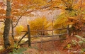 Filename=bcadena30.jpg
Filesize=184KB
Dimensions=700x445
Date added=Nov 13, 2011 bcadena30.jpg