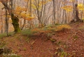 Filename=bcadenas12.jpg
Filesize=240KB
Dimensions=800x542
Date added=Nov 13, 2011 bcadenas12.jpg