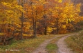 Filename=bcadenas16.jpg
Filesize=243KB
Dimensions=800x516
Date added=Nov 13, 2011 bcadenas16.jpg
