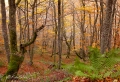 Filename=bcadenas181.jpg
Filesize=279KB
Dimensions=800x550
Date added=Nov 13, 2011 bcadenas181.jpg