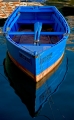 Filename=lancha.jpg
Filesize=104KB
Dimensions=580x938
Date added=Oct 19, 2008 lancha.jpg